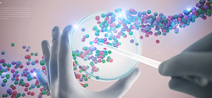 ü�� ���� �Ƿ��� GMP ����