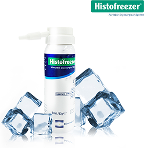 ³Ãµ¿¼ö¼ú±â È÷½ºÅäÇÁ¸®Á®